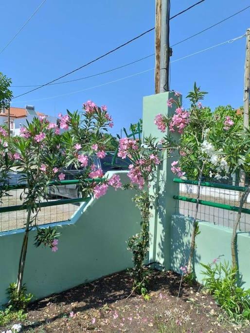 Lovely Guesthouse On The Beach Agia Anna  Buitenkant foto
